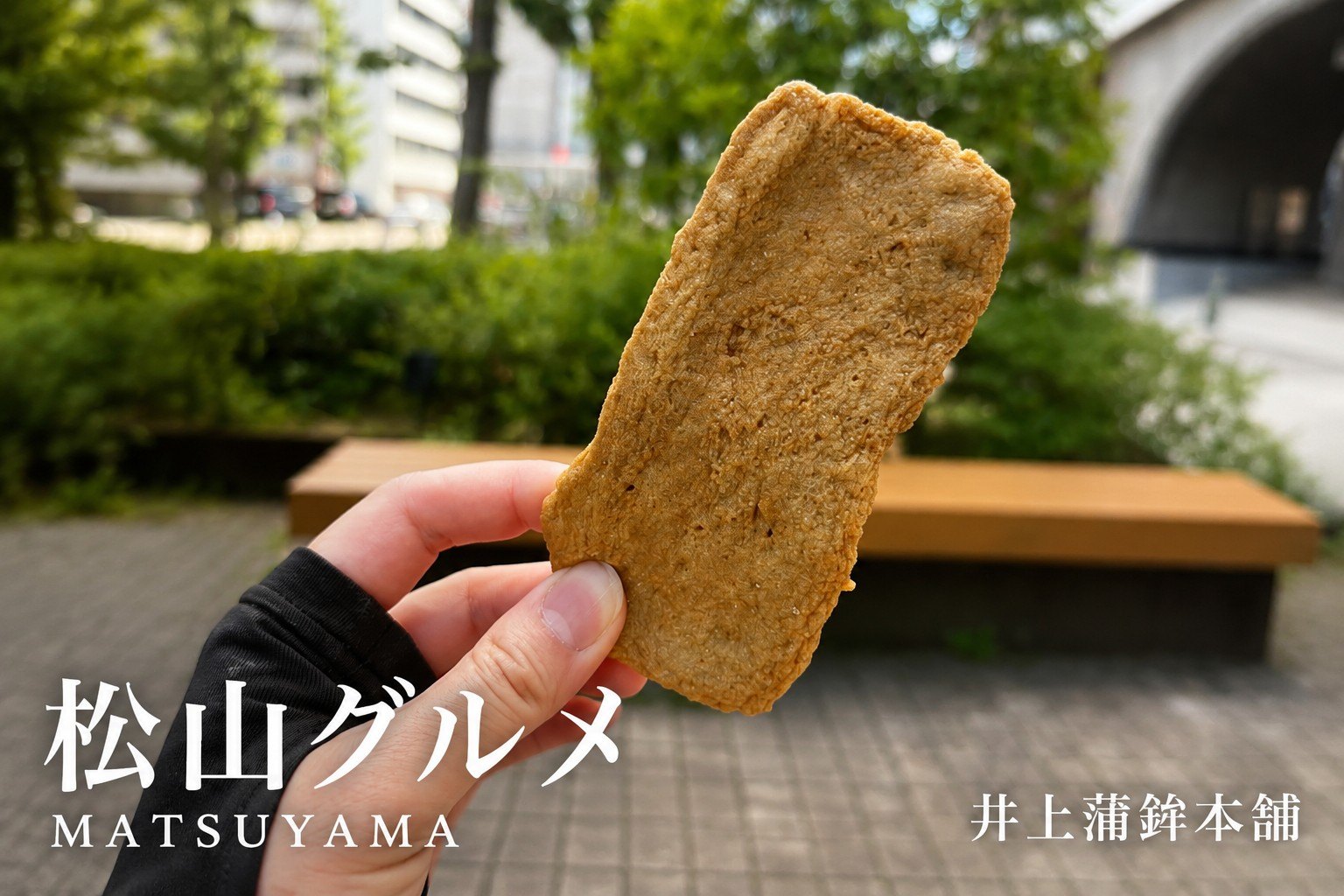 松山市駅近く、井上蒲鉾本舗の特上じゃこ天