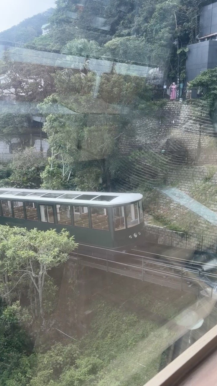 窓から見下ろした、緑の中を走るピークトラム