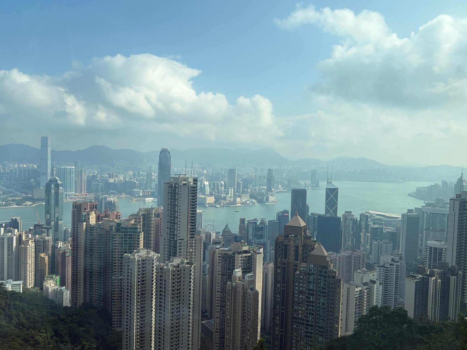 窓の外に広がる、香港の高層ビル群と海
